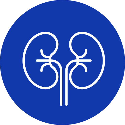 Nephrology Logo